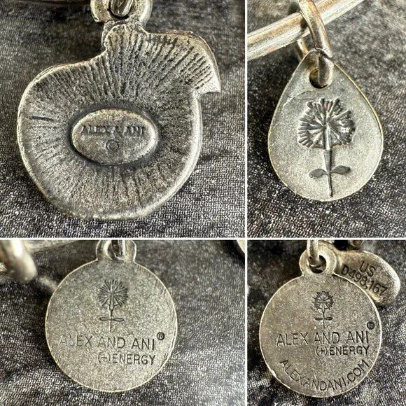 Alex and Ani Apple Charm Bracelet Silver Nature Expandable Bangle - Picture 4 of 14